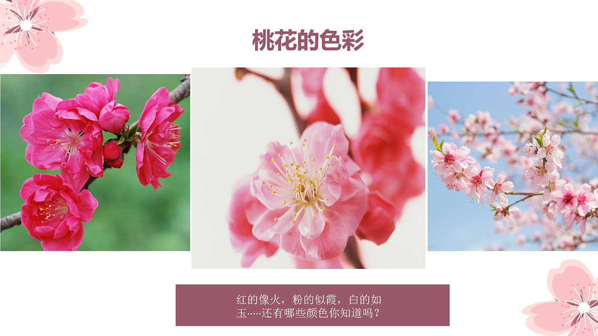 17476627第8页