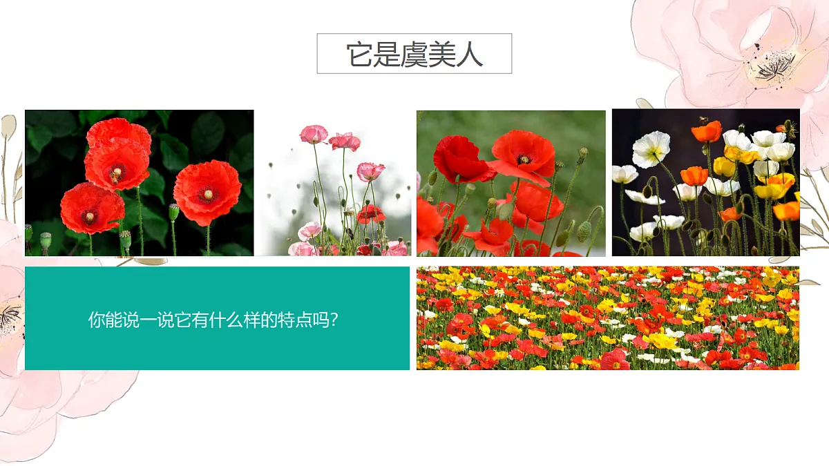 17476628第5页