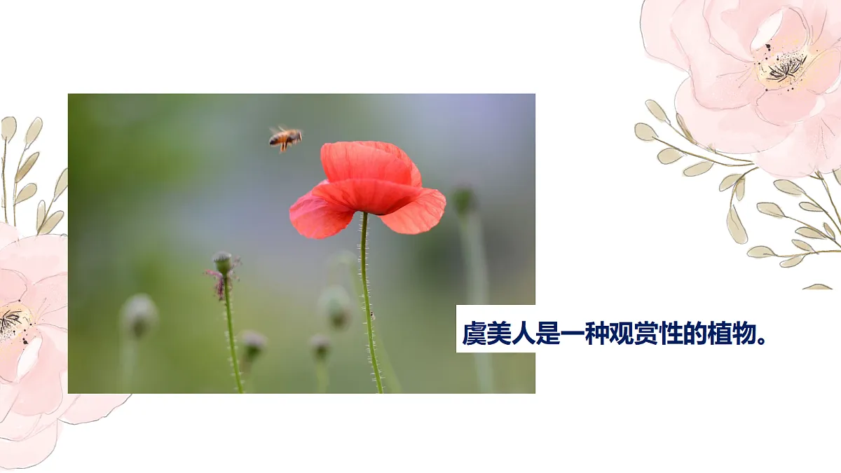 17476628第6页