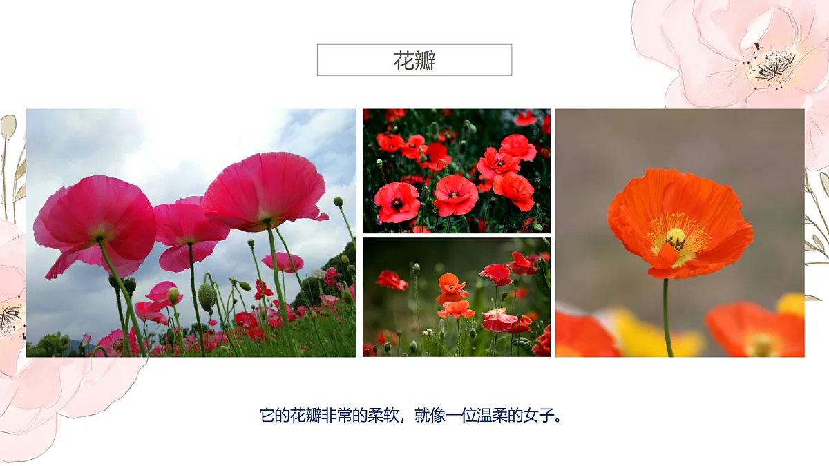 17476628第7页