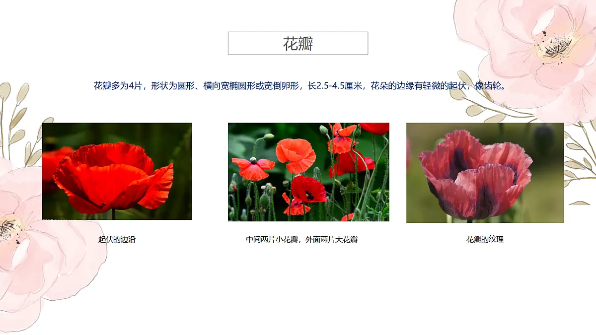17476628第8页