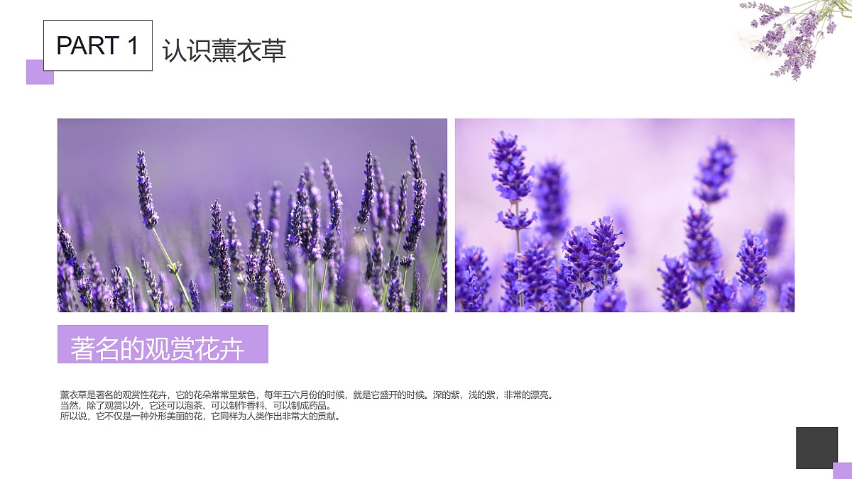 17476630第3页