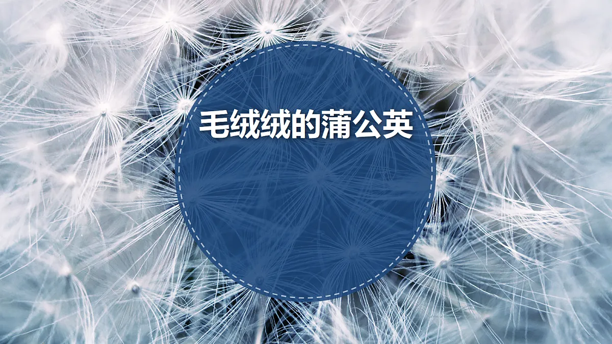 17476631第1页