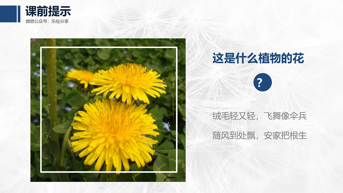 17476631第3页