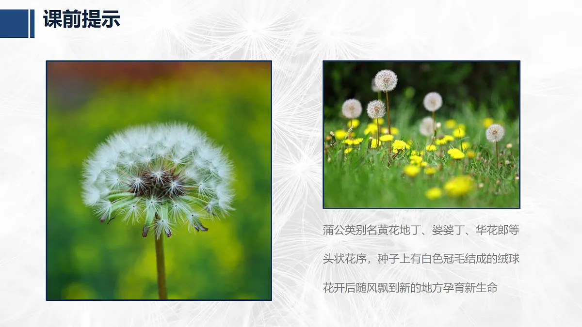 17476631第4页