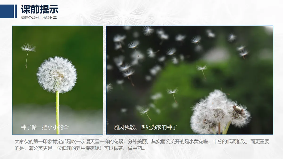 17476631第6页