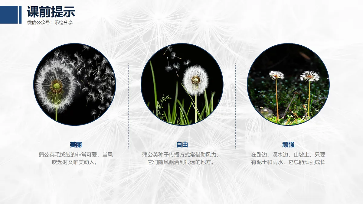 17476631第7页