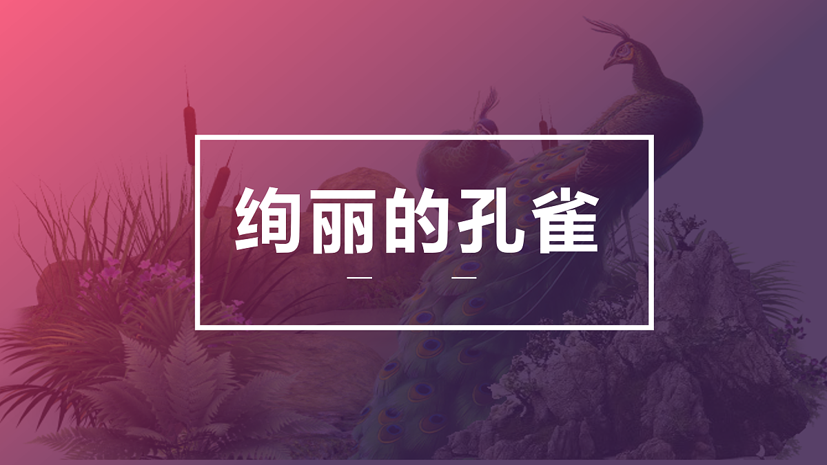 17476632第1页