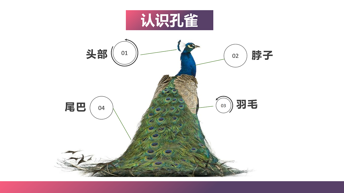 17476632第4页