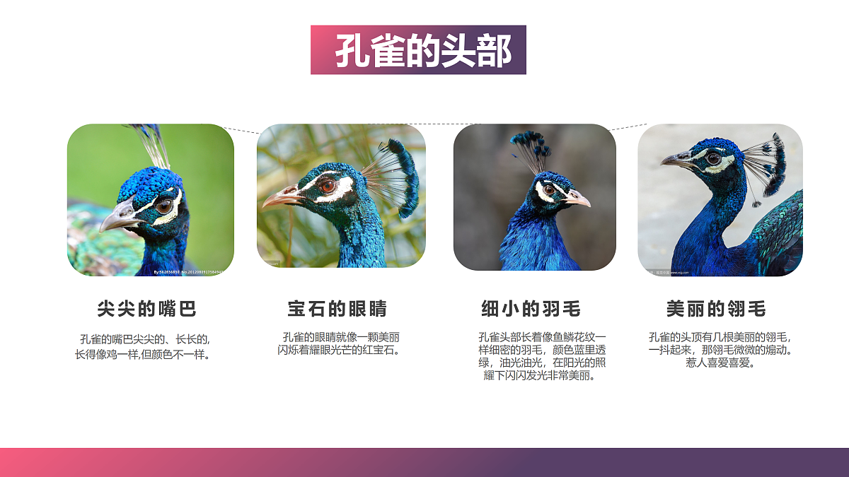 17476632第5页