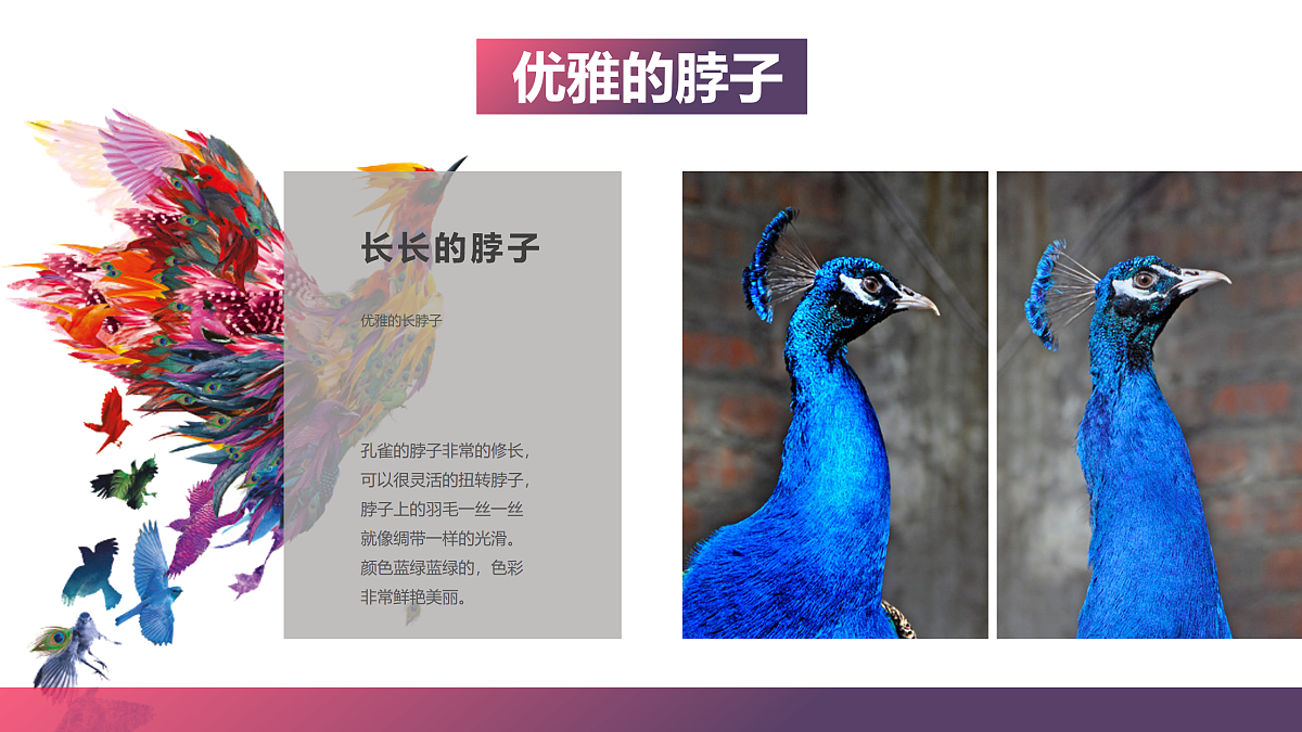 17476632第6页