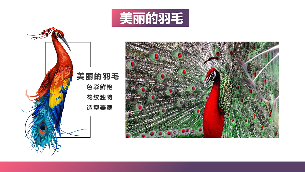 17476632第7页