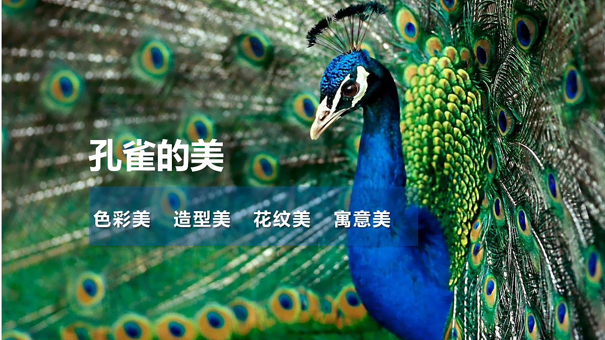 17476632第8页