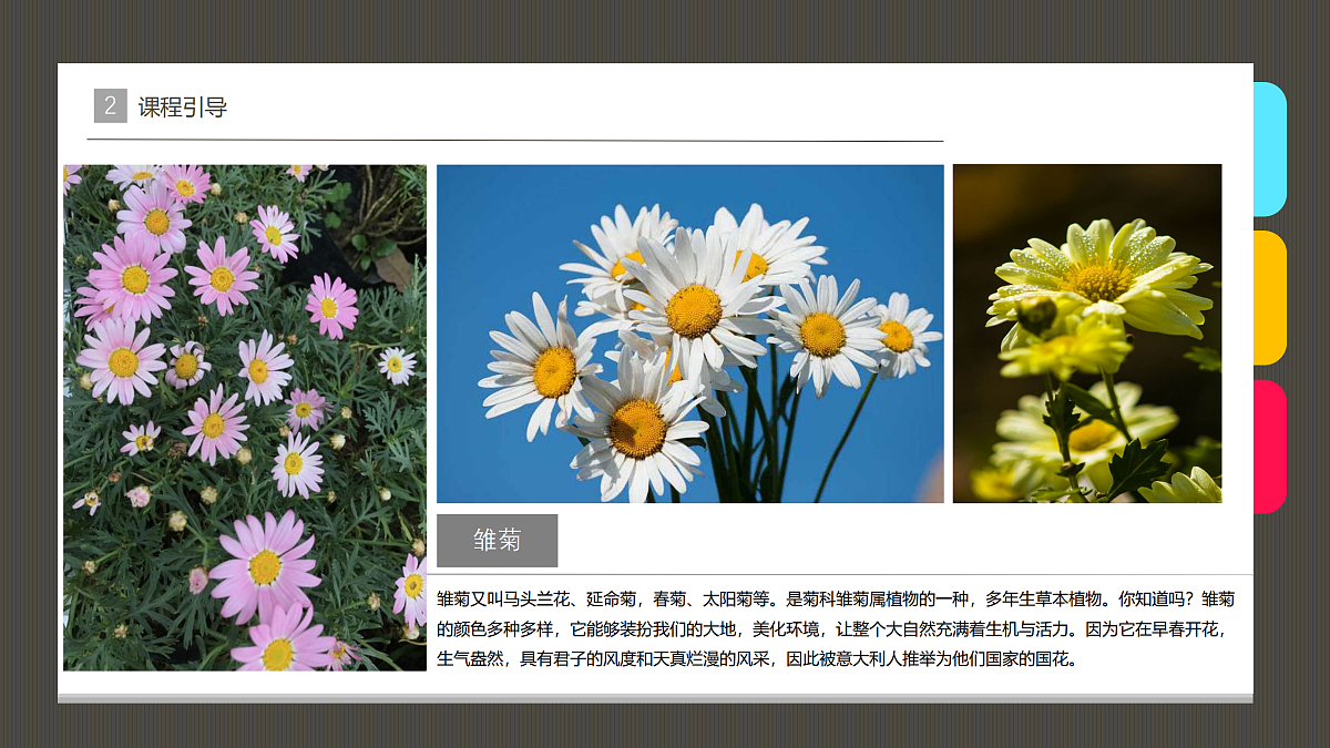 17476635第5页