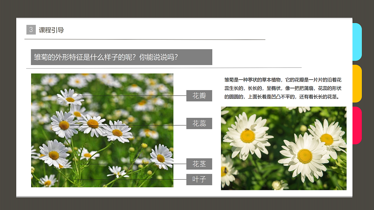17476635第6页