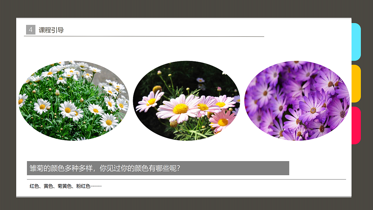 17476635第7页