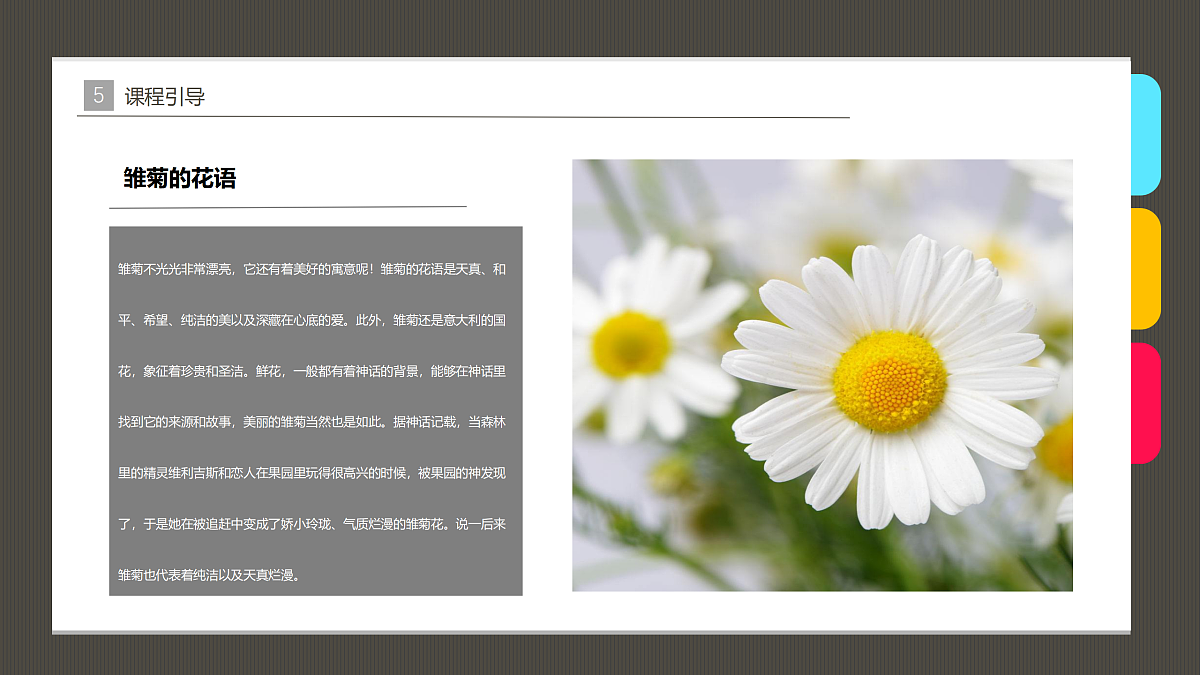 17476635第8页