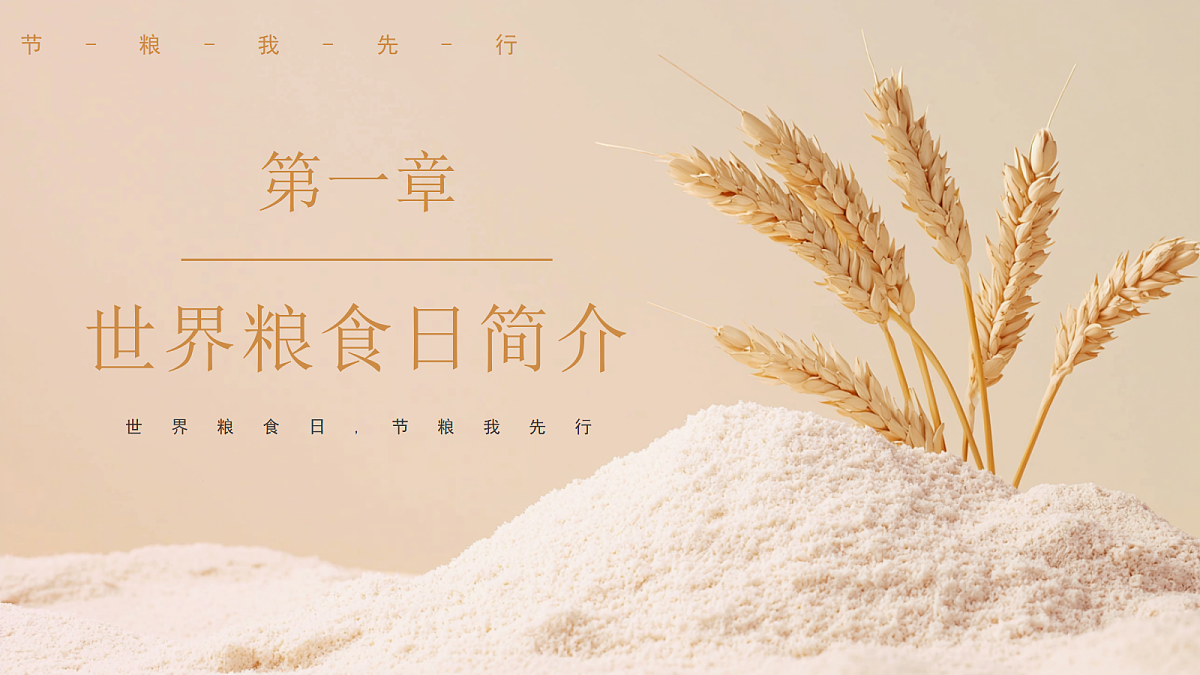 17476694第3页
