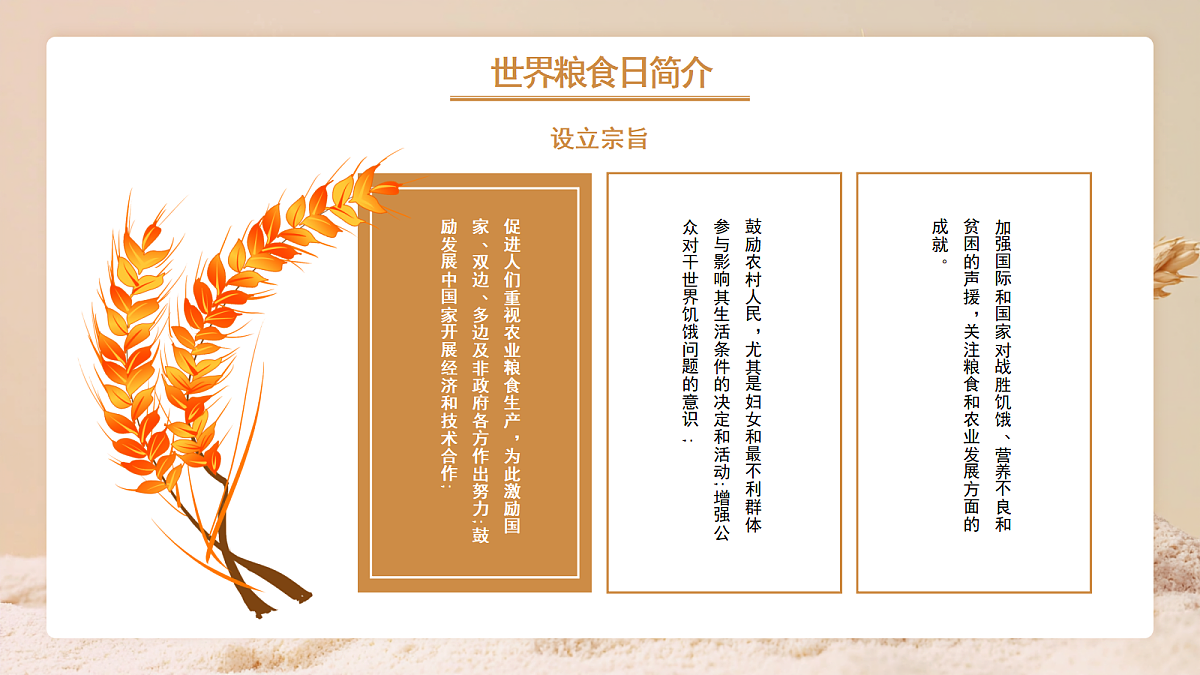 17476694第5页
