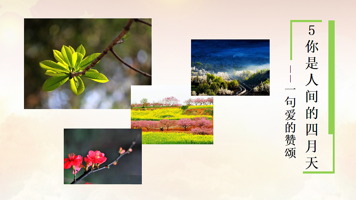 17477052第1页
