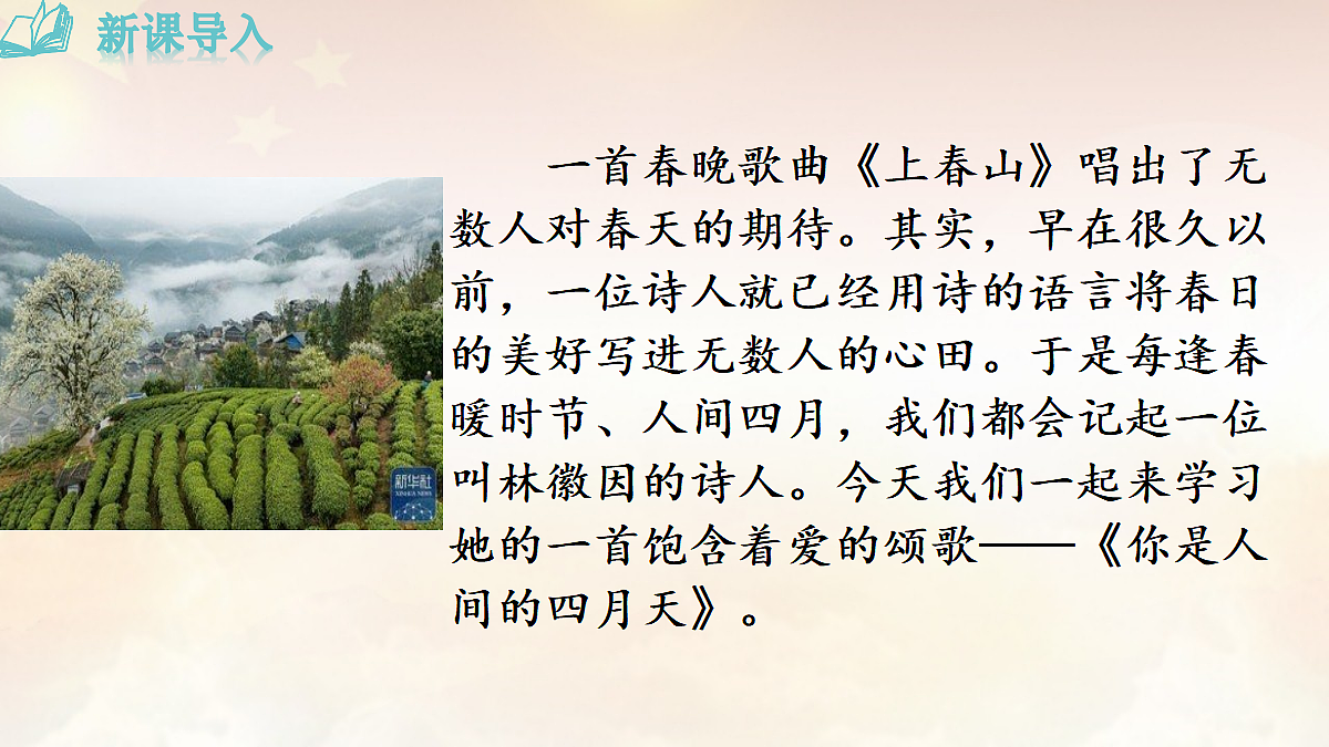 17477052第3页