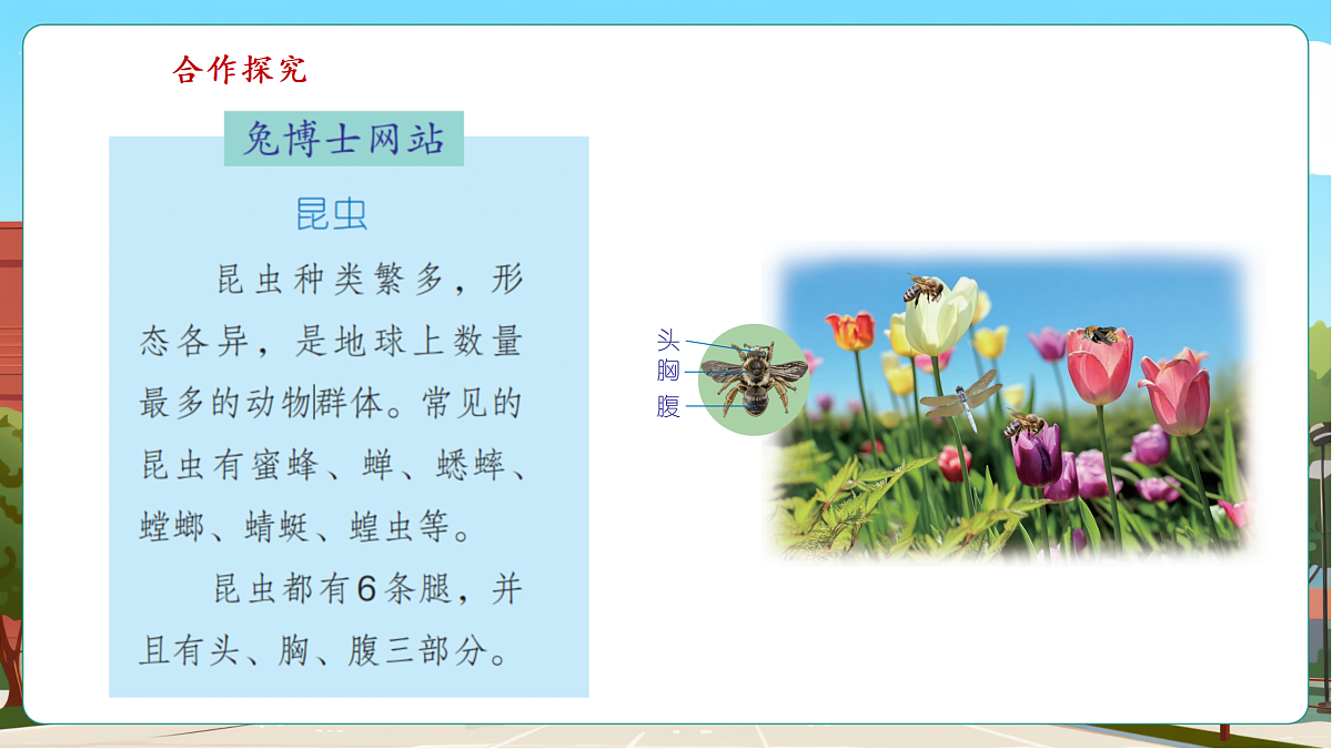 3.4《6的乘法口诀》（课件）第7页