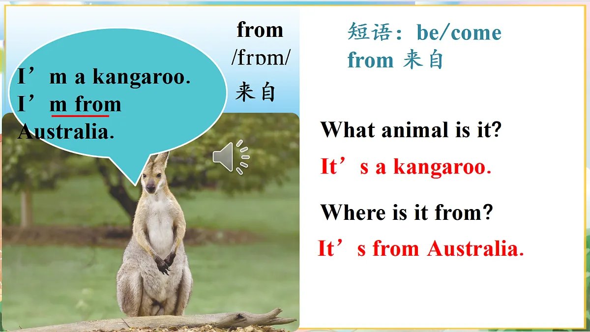 Animals第8页