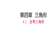 2026年春北师大七年级数学下册 4.2 全等三角形（课件）