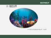 部编版小学语文三下第六单元23《海底世界》课件+练习