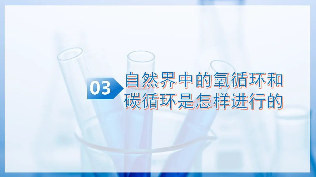课题2 氧气 和二氧化碳的性质 第3课时（教学课件）化学沪科版五四学制2024八年级全一册第5页