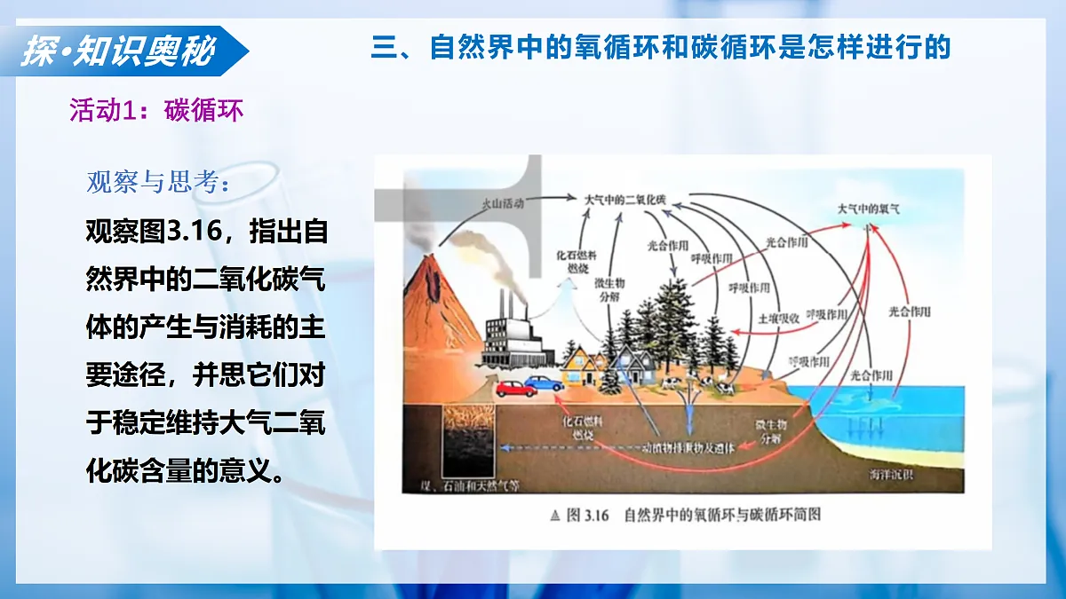 课题2 氧气 和二氧化碳的性质 第3课时（教学课件）化学沪科版五四学制2024八年级全一册第6页