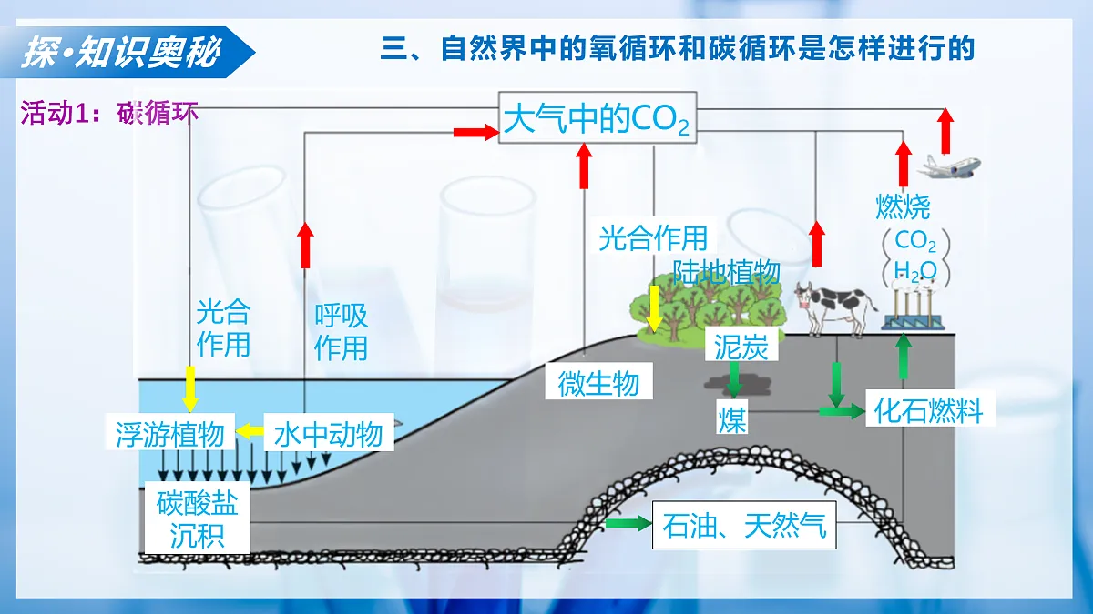 课题2 氧气 和二氧化碳的性质 第3课时（教学课件）化学沪科版五四学制2024八年级全一册第8页