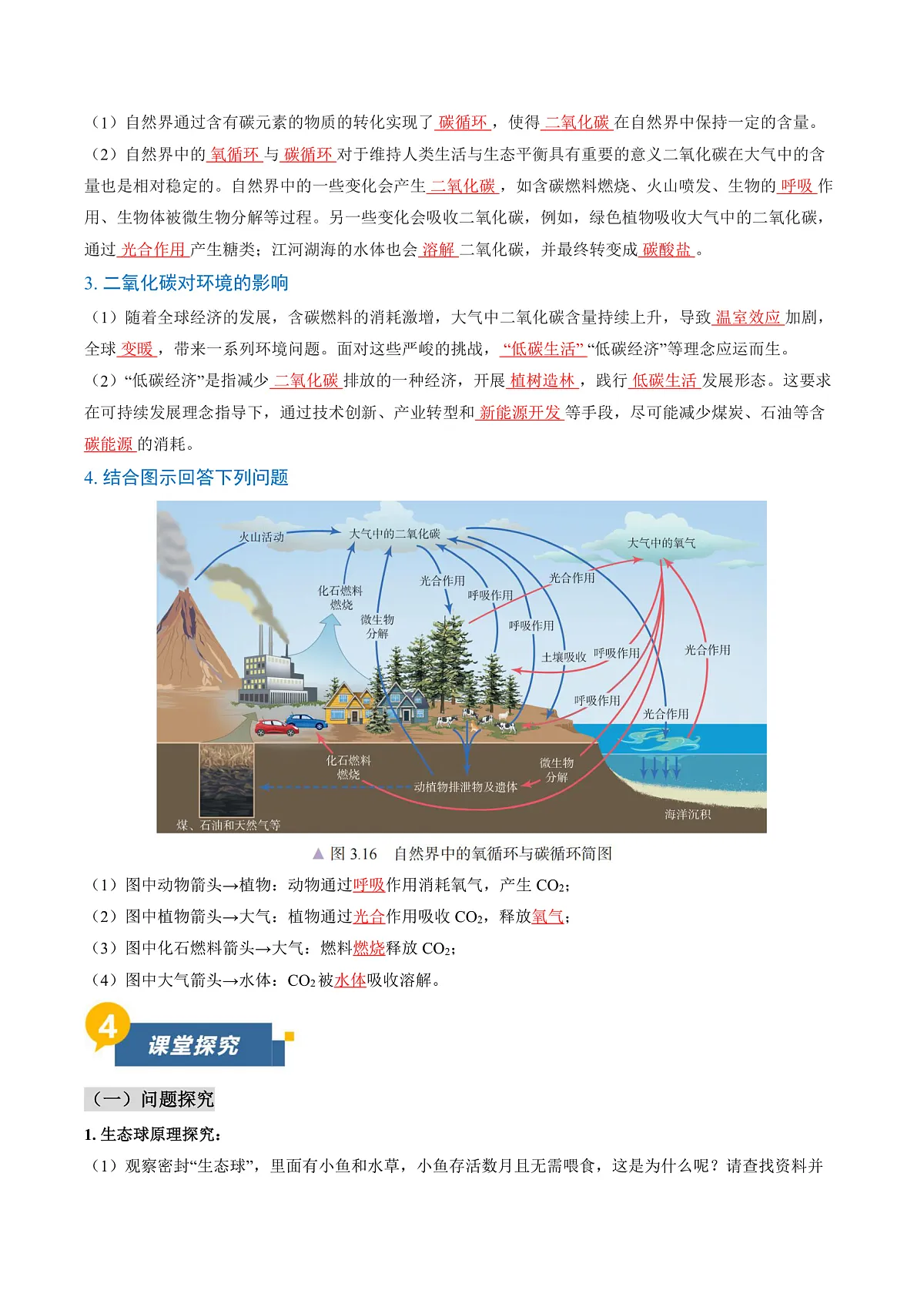 课题2 氧气和二氧化碳的性质 第3课时（导学案）（解析版）第2页