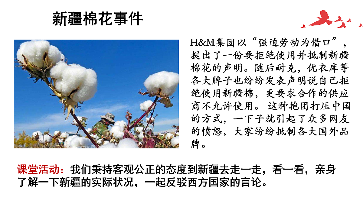 17480593第7页