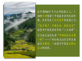 高中政治统编版必修三政治与法治 6.3 基层群众自治制度 课件