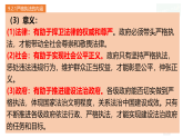 高中政治统编版必修三政治与法治 9.2 严格执法 课件