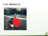 浙教版体育一年级上册限学类乒乓球-教学课件