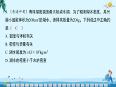 人教版(2024）八年级上册物理第六章 质量与密度 测试卷（含答案）课件