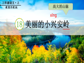 18 美丽的小兴安岭 课件   统编版语文三年级上册