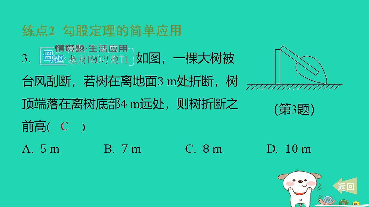 17481618第4页