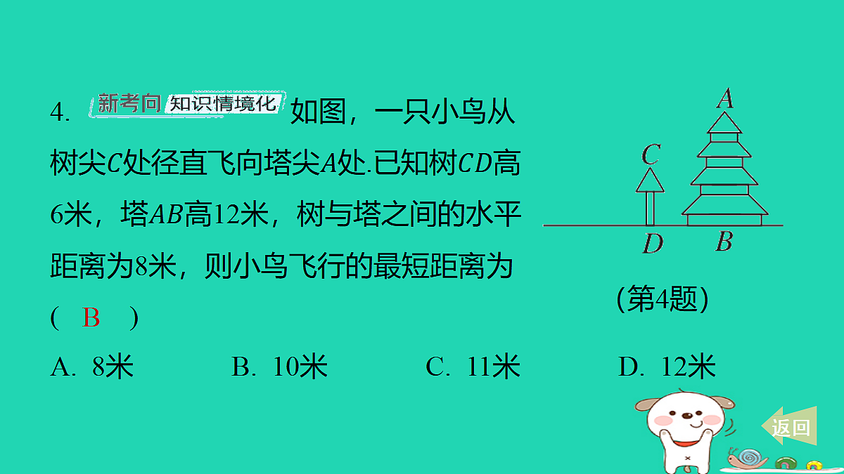 17481618第5页