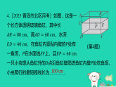 2025秋七年级数学上册第三章勾股定理3勾股定理的应用举例第一课时勾股定理的实际应用1习题课件鲁教版五四制（含答案）
