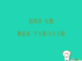2025秋七年级数学上册第四章实数测素质平方根与立方根习题课件鲁教版五四制（含答案）