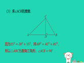2025秋七年级数学上册拔尖专训10利用勾股定理解题的九种常见题型习题课件鲁教版五四制（含答案）