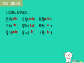 2025八年级语文上册第三单元13与朱元思书习题课件新人教版（含答案）