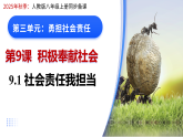 9.1 社会责任我担当 课件 -2025-2026学年八年级道德与法治上册