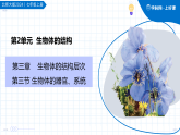 北师大版2024七年级上册 3.3 生物体的器官、系统 课件