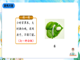 人教鄂教版科学四下2.6《怎样养蚕》课件+教案+视频素材