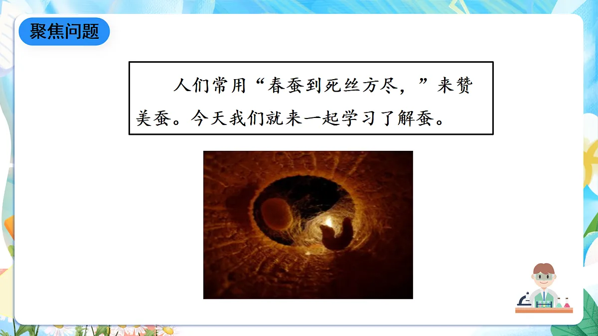 人教鄂教版科学四下2.7《蚕的生长变化》课件第3页