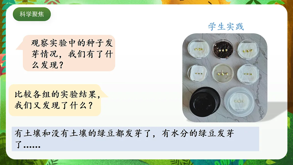 教科版（2017）科学五下1.2《 比较种子发芽实验》 课件第4页